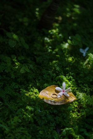 ring on the green leaves.の写真素材