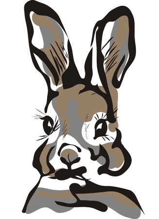 Vintage spring rabbitの写真素材
