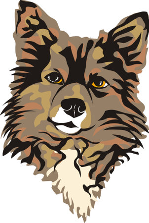 mongrel brown with red spots portrait shaggy face with smart eyes family friendの写真素材