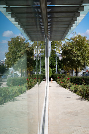 Glass building facade in urban nature reflecting green footpath and leaves of tree and bushes