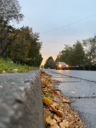 Side view of a rural wet road in fall winter. Autumn colours on leaves and car lights , cold weatherの写真素材