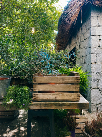 Farm hut made of stone surrounded by plants, trees , wooden boxes and rustic objectsの写真素材