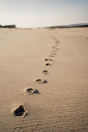 Minimalistic scene of one set of foot prints in sand diminishing in the background