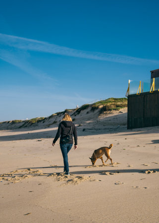Caucasian Portuguese Girl walking with her dog in the morning on a beachの写真素材