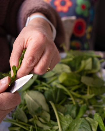 The Art of Selecting and Preparing Spinach: Grandmas Secretsの写真素材