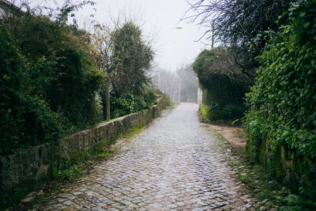 old cobbled street of an old town in a cloudy and foggy day , Portugalの写真素材