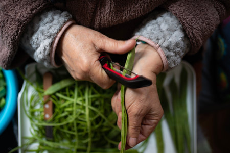 old woman hands peeling fresh organic green beansの写真素材