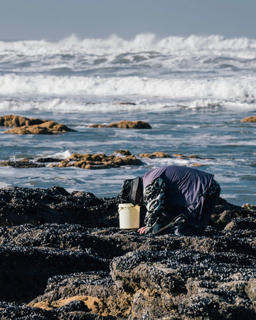 Typical Portuguese sailor search and pickup seafood in coast rocks