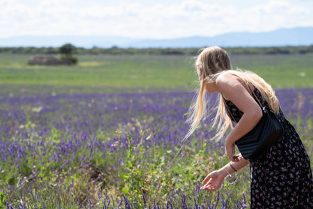 Back of beautiful blonde girl on the lavender fieldsの写真素材