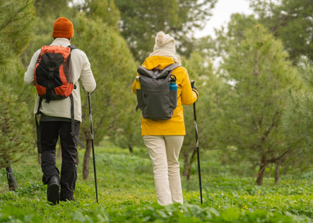 Rear view of hikers are enjoying a walk in nature, using trekking poles and backpacks with copy...