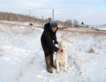 A woman is dragging with a delicacy a Central Asian Shepherd on a winter rural road against the...