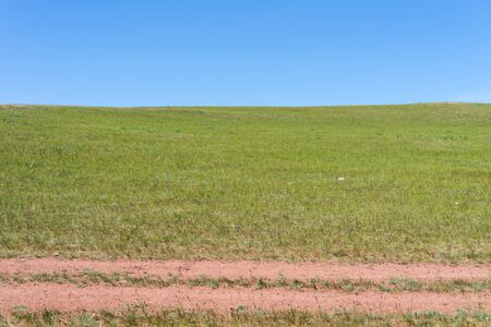 A dirt road runs along a green meadow against a blue sky on a summer sunny day.の写真素材