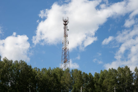A cell tower towers over a birch grove on a sunny summer day.
