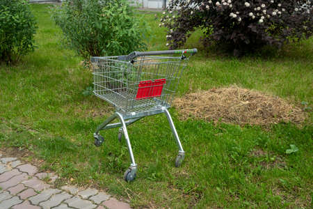 A metal grocery cart stands abandoned on the mowed lawn among the flowering shrubs in summer.の写真素材