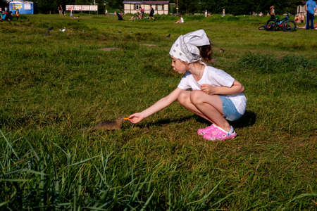 Krasnoyarsk, Krasnoyarsk Region, RF - July 24, 2021: A girl in a scarf holds out a carrot to a gopher in a meadow with people resting among the green grass in summer.のeditorial素材