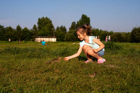 Krasnoyarsk, Krasnoyarsk Region, RF - July 24, 2021: A smiling girl feeds a carrot from the hand of a gopher, in a meadow with people resting among the green grass in summer.のeditorial素材