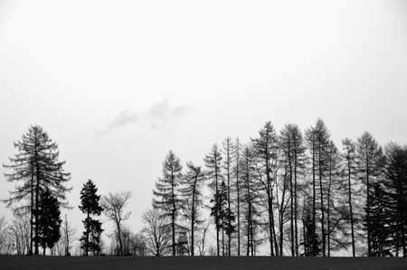 At the end of the worldの写真素材
