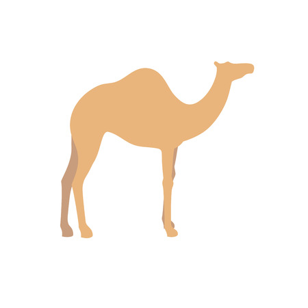 Camel vector sign illustration.のイラスト素材