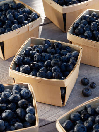 Small baskets of farmers market ready pints, 550ml, of freshly picked blueberries on a garden work table in the sunshineの写真素材