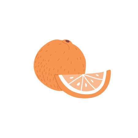 Whole orange and its cut piece composition. Fresh tropical citrus fruit with peel and flesh. Southern exotic healthy food. Flat vector illustration isolated on white background.のイラスト素材