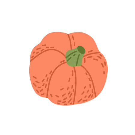Round pumpkin. Autumn orange vegetable. Fresh fall gourd for Halloween holiday. October food. Whole pumkin with peduncle in doodle style. Colored flat vector illustration isolated on white backgroundのイラスト素材