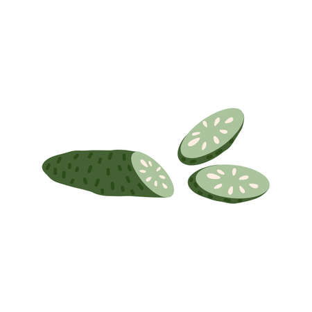 Fresh cucumbers sections, circle slices, cut pieces. Green vegetable with seeds. Healthy summer food. Flat vector illustration of veggie isolated on white backgroundのイラスト素材