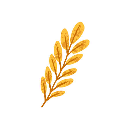 Dry yellow leaf. Autumn foliage clipart. Modern textured botanical drawing of fall twig. September leafage. October leaves. Flat vector illustration isolated on white backgroundのイラスト素材