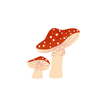 Fly agaric mushrooms. Amanita fungi composition. Poisonous inedible red cap fungus with dots. Forest plant, toadstool. Flat vector illustration of flyagaric isolated on white backgroundのイラスト素材
