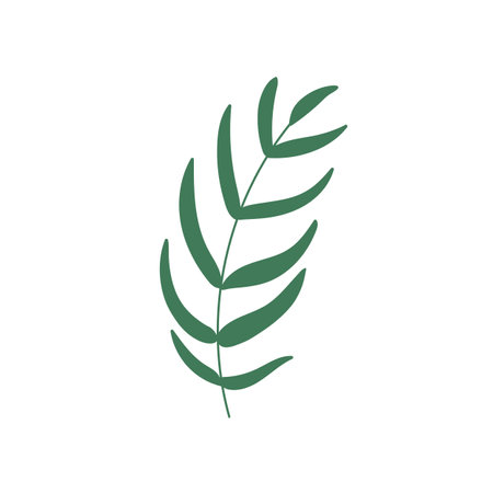 Green leaf branch. Natural decor, leaves on stem, sprig. Abstract beautiful plant. Eco organic decoration. Flat vector illustration isolated on white backgroundのイラスト素材