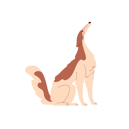 Borzoi dog. Cute graceful doggy of Russian Hunting Sighthound breed. Proud elegant bicolor canine animal with long muzzle, profile, side view. Flat vector illustration isolated on white backgroundのイラスト素材