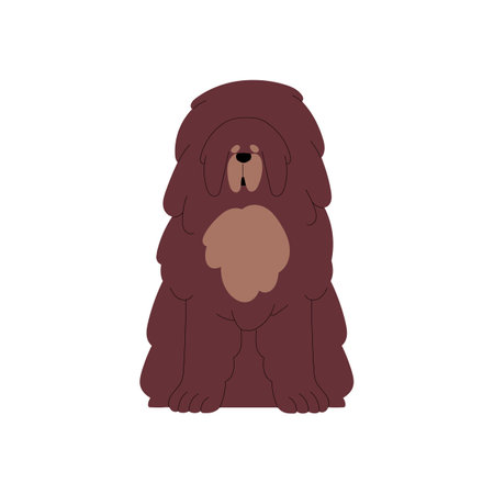 Tibetan Mastiff, canine breed. Cute big shaggy Tibet dog portrait. Fuzzy hairy doggy, large pet animal with long coat, covering face. Flat vector illustration isolated on white backgroundのイラスト素材
