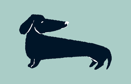 Cute small puppy. Funny little doggy of Dachshund breed. Adorable amusing wiener dog, canine animal. Lovely sweet short long pup looking back. Flat vector illustrationのイラスト素材