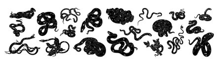 Black snake silhouettes set. Vipers, serpents, monochrome venom symbols. Coiled cobra, curled boa, twisted anaconda, crawling mamba, python. Flat vector illustration isolated on white backgroundのイラスト素材