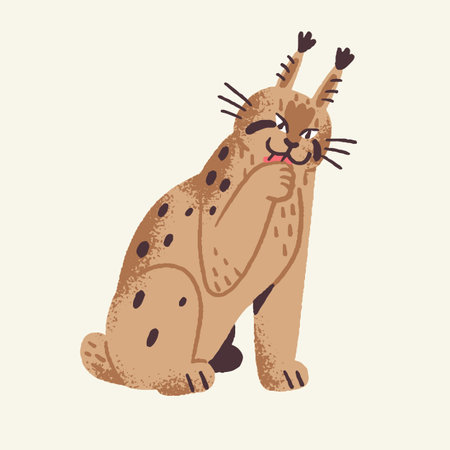 Cute woodland animal, furry lynx. Forest predator, big wild cat and dangerous beast wash paws. Happy pup with tassels on ears in childish style. Flat isolated vector illustration on white backgroundのイラスト素材