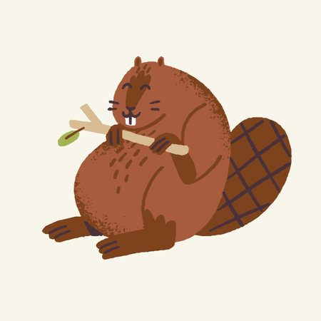 Cute woodland animal, beaver. Wild rodent with funny tail eat and gnaw branch. Wood beast with big teeth for nibbling, nice fur, childish style. Flat isolated vector illustration on white backgroundのイラスト素材