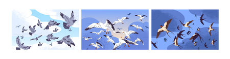 Different birds fly in spring sky set. Swallow, white seagull, pigeon flock flying, floating in air. Urban doves, gulls flapping wings. Wild animals with feather background. Flat vector illustrationのイラスト素材