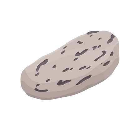 Volcanic stone with grained surface. Ragged mineral for scrubbing, rough rock. Natural pumice with irregular texture for treatment body. Geology flat isolated vector illustration on white background.のイラスト素材