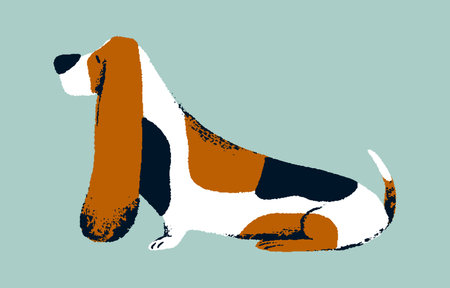 Funny basset hound sitting profile. Cute hunting dog with tricolor coat, fur. Short legged, long ears breed puppy. Stylized domestic animal, pet side view. Flat isolated vector illustration.のイラスト素材