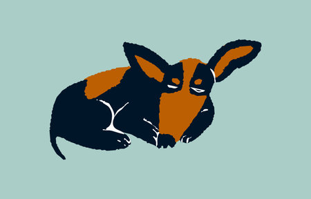 Cute dachshund, basset, toy terrier breed dog. Decorative purebred doggy sleep. Funny prague ratter puppy with bicolor coat, fur. Stylized domestic animal, pet. Flat isolated vector illustration.のイラスト素材