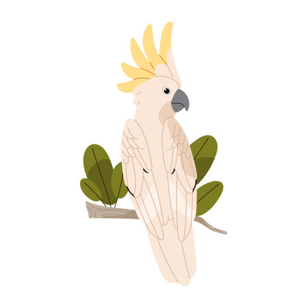 Sulphur crested cockatoo sit on branch. Talking parrot. Exotic bird with fluffed yellow crest. Tropical animal, rainforest fauna, wild nature. Flat isolated vector illustration on white backgroundのイラスト素材