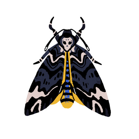 Acherontia atropos, African death head hawkmoth. Moth with skull pattern, mystical butterfly. Lepidopteran insect, macro animal. Exotic nature. Flat isolated hand drawn vector illustration on whiteのイラスト素材