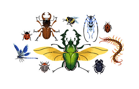 Various arthropod animals set. Different insect species composition. Stag beetle, bumblebee,...
