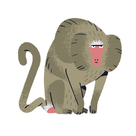 Funny baboon with sad emotion on cute muzzle. Dissatisfied Papio sitting. Upset primate, monkey with long tail. African furry animal. Exotic fauna flat isolated vector illustration on white backgroundのイラスト素材