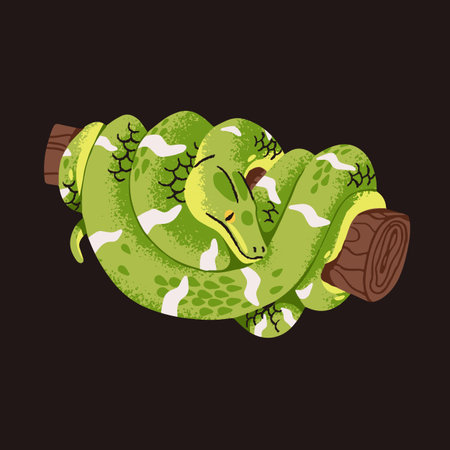 Common boa constrictor rest on tree. Exotic big snake curled about branch. Reptile with green...