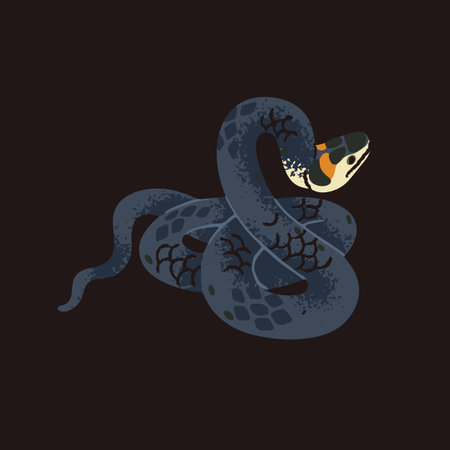 Grass or ringed snake in attack pose. Small natrix in preventive posture. Serpent with black body, yellow spots on head. European forest fauna, cold blooded animal. Flat isolated vector illustrationのイラスト素材