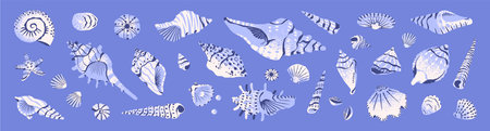 Exotic seashells set. Various ocean cockleshells: florida conch, cowrie, scallop, nautilus, whelks, mollusk with pearls. Patterned sea shells with different shapes. Flat isolated vector illustrationのイラスト素材