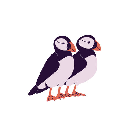 Cute pair of Atlantic puffins. Seabirds with colored beak. Arctic sea birds of north ocean. Couple of wild antarctic animals with feathers. Flat isolated vector illustration on white backgroundのイラスト素材