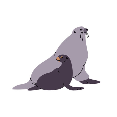 Cute fur seals, mother and baby relax together. Adorable sea lions of north ocean. Antarctic marine mammals, polar wildlife. Pinniped animal with its pup. Flat isolated vector illustration on whiteのイラスト素材