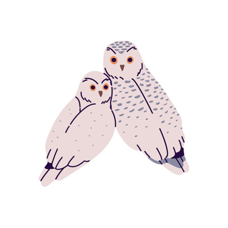 Adorable pair of snowy owl sits together. Cute polar birds of prey look back. Arctic animals with winter feathers. Wild fauna of north forest. Flat isolated vector illustration on white backgroundのイラスト素材