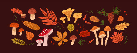 Fall forest nature set. Dry leaves of rowan, maple, oak. Red, yellow and golden autumn foliage of different trees. Various mushrooms, fir cone, fungus, berries. Flat isolated vector illustrationsのイラスト素材